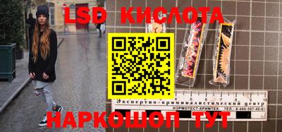 ГАЛЛЮЦИНОГЕННЫЕ ГРИБЫ Гагарин