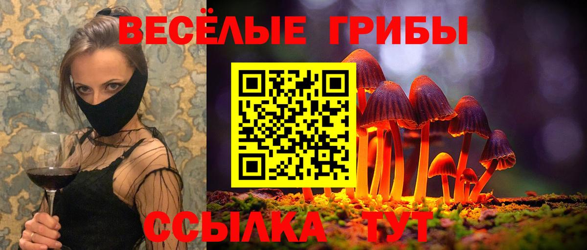 Галлюциногенные грибы Magic Shrooms  Вход с VPN  Новозыбков 